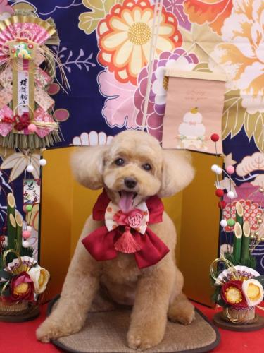 20240105モンチちゃん